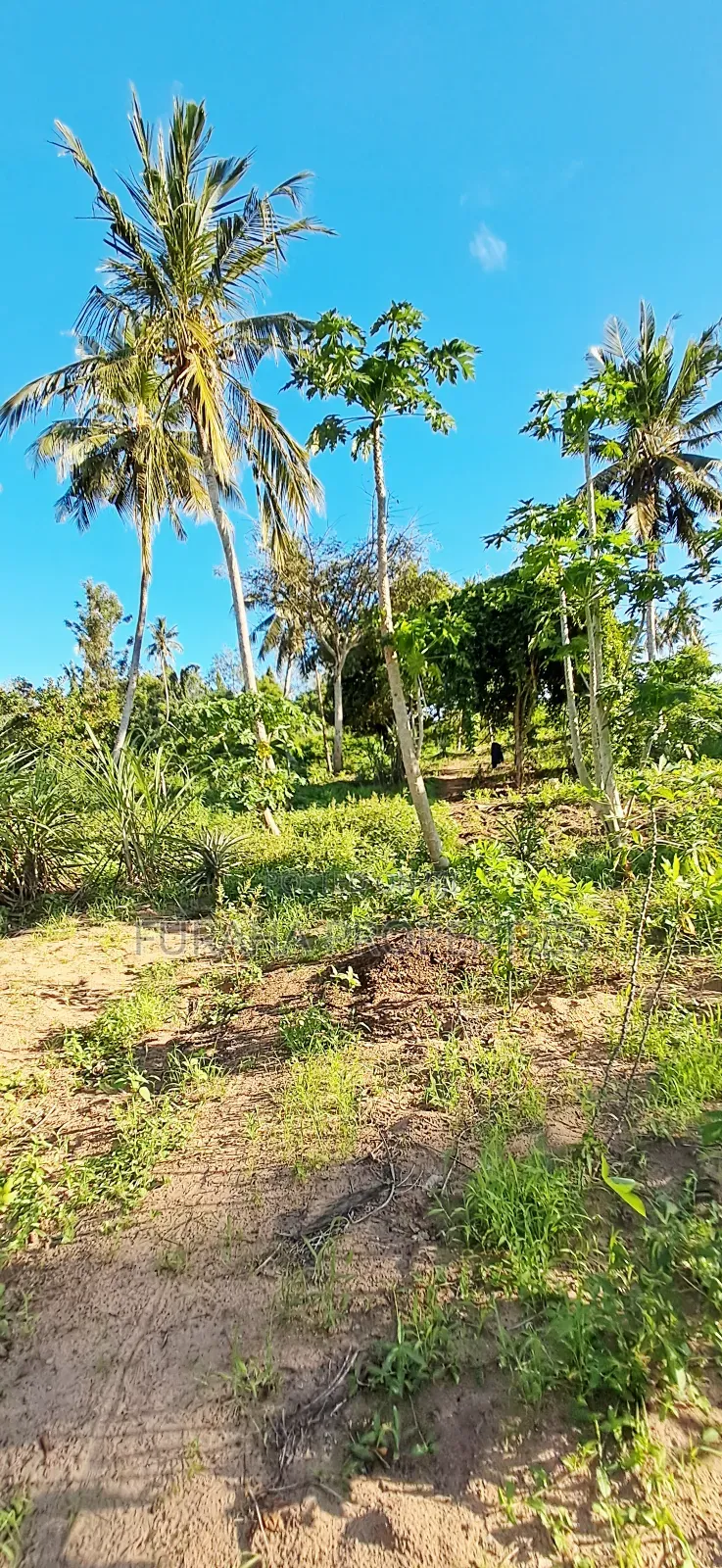 For Sale 1 Acre Prime Land Kwale in Tsimba Golini