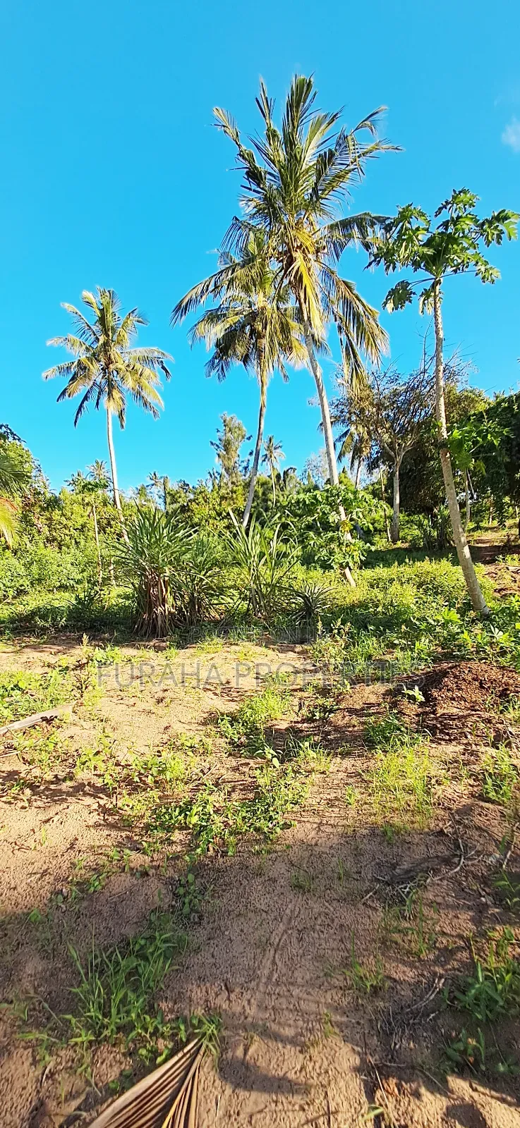 For Sale 1 Acre Prime Land Kwale in Tsimba Golini