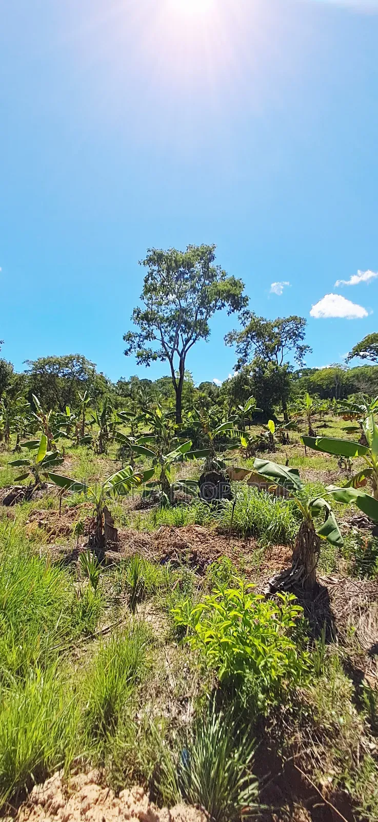 For Sale 12 Acres Land Msambweni in Ramisi