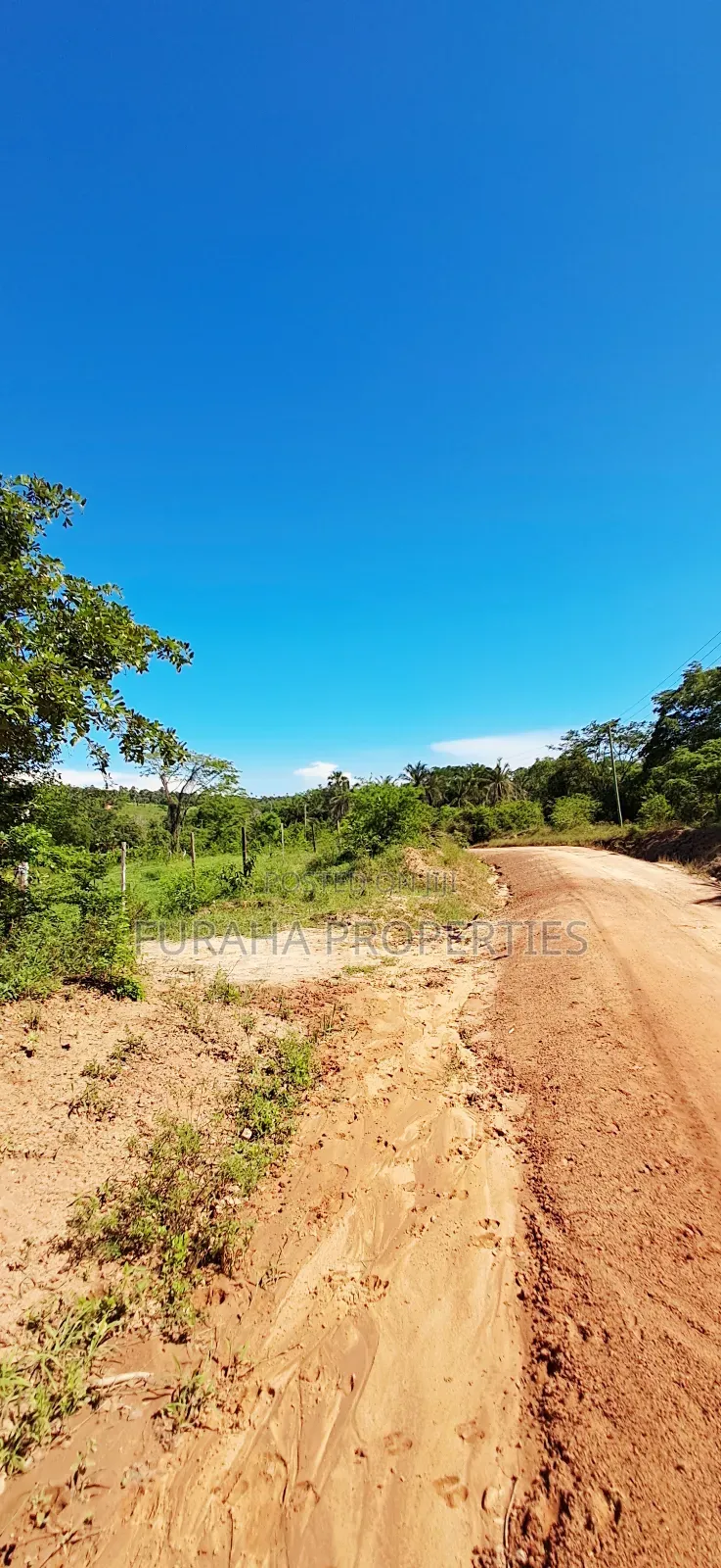 For Sale 12 Acres Land Msambweni in Ramisi