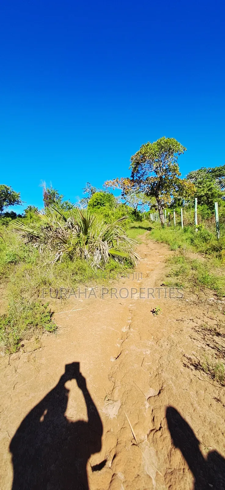 For Sale 4 Acres for Sale Kwale in Tsimba Golini