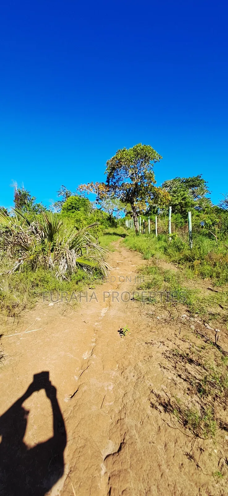 For Sale 4 Acres for Sale Kwale in Tsimba Golini