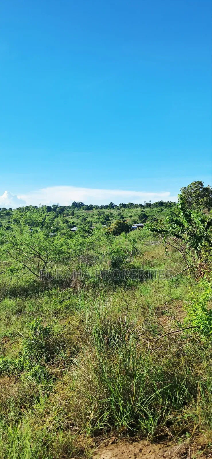 For Sale 4 Acres for Sale Kwale in Tsimba Golini