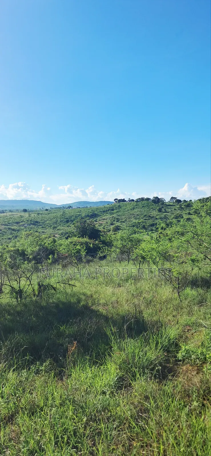 For Sale 4 Acres for Sale Kwale in Tsimba Golini