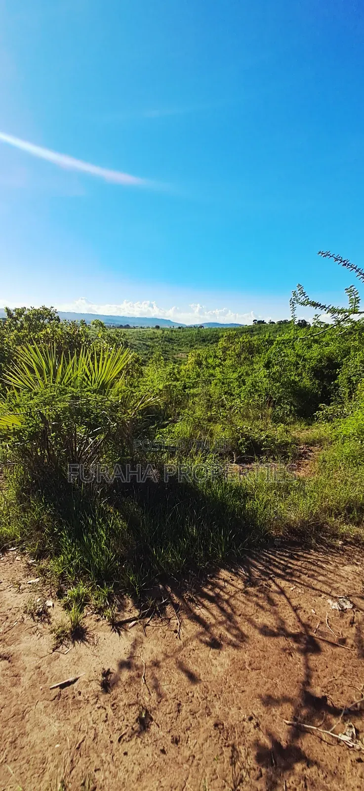 For Sale 4 Acres for Sale Kwale in Tsimba Golini