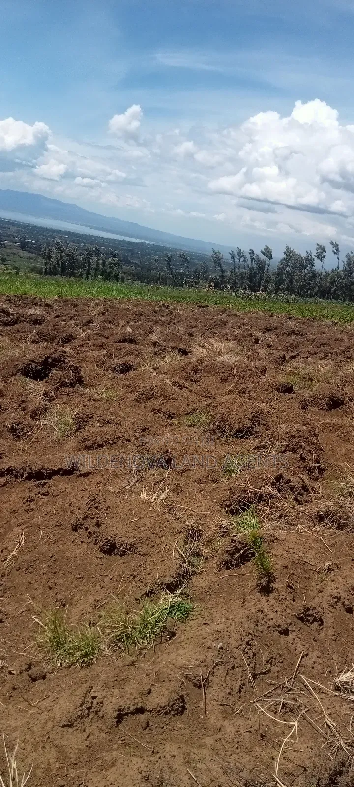 Land on Sale at Naivasha in Naivasha East