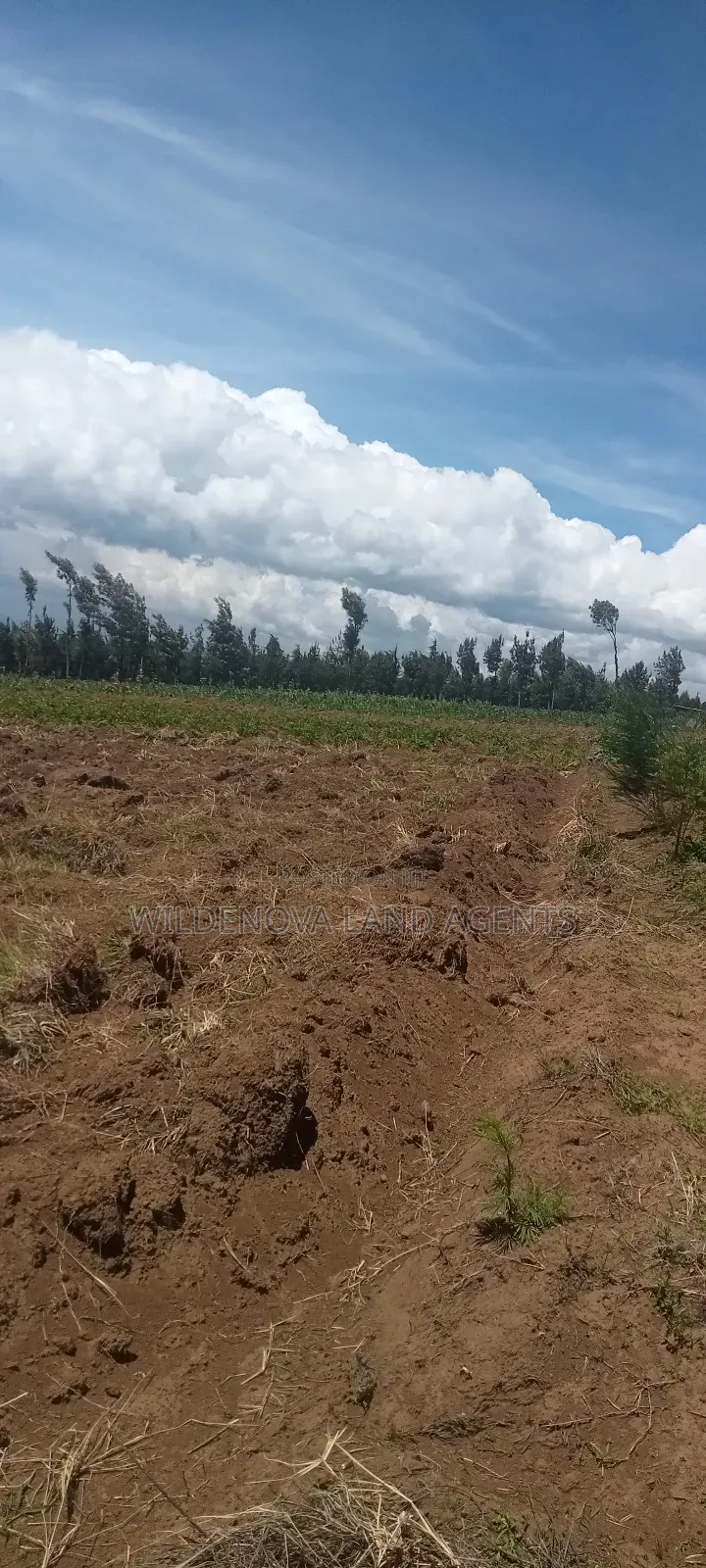 Land on Sale at Naivasha in Naivasha East