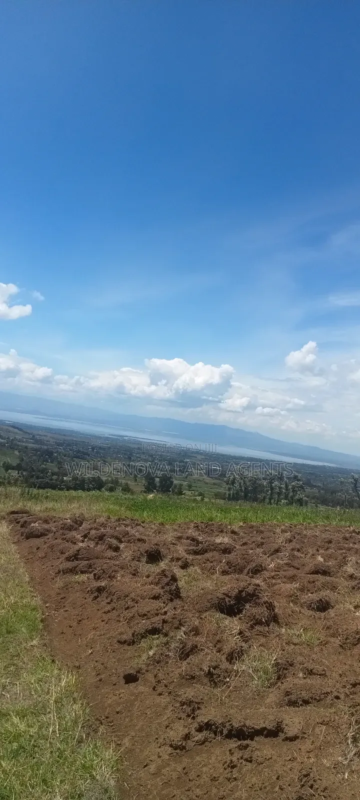Land on Sale at Naivasha in Naivasha East