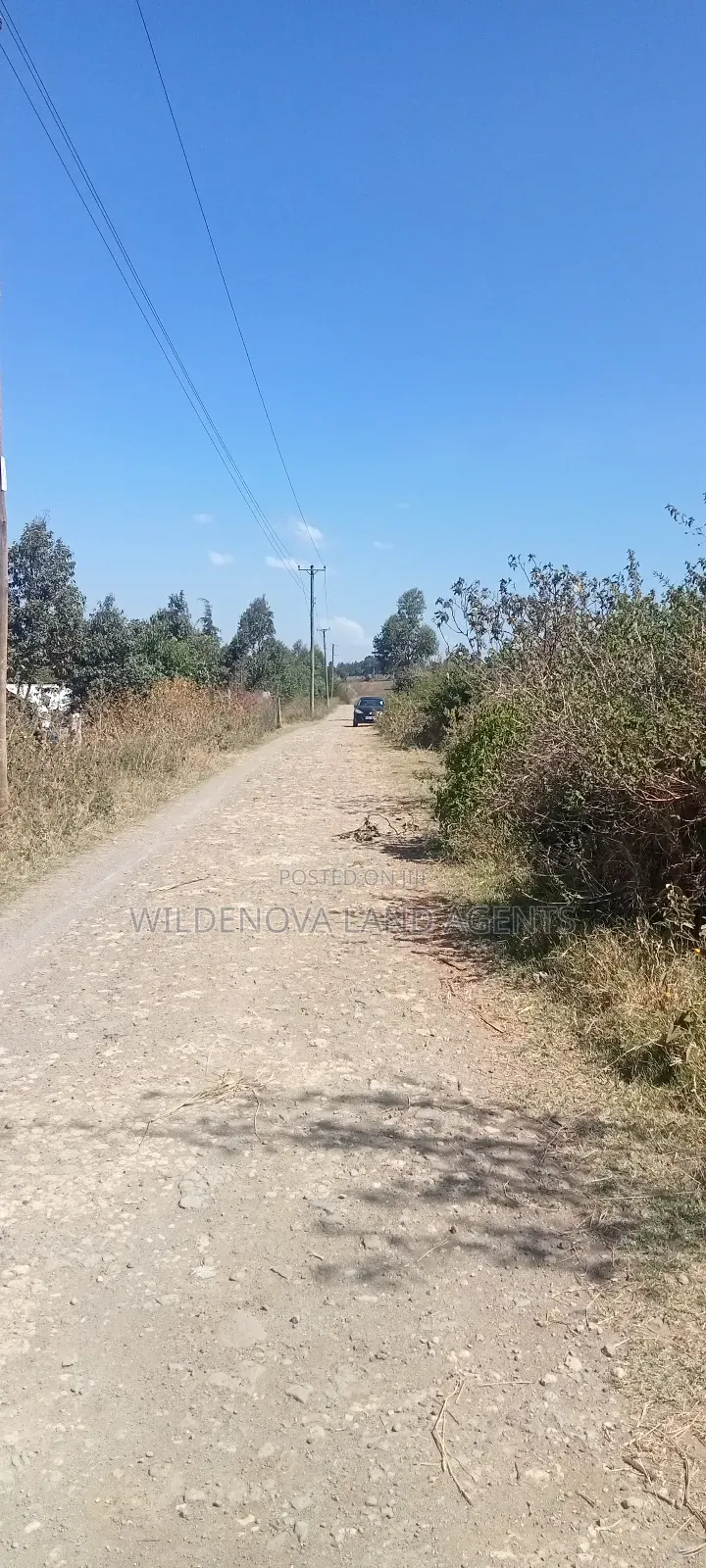 Land on Sale at Naivasha in Naivasha East