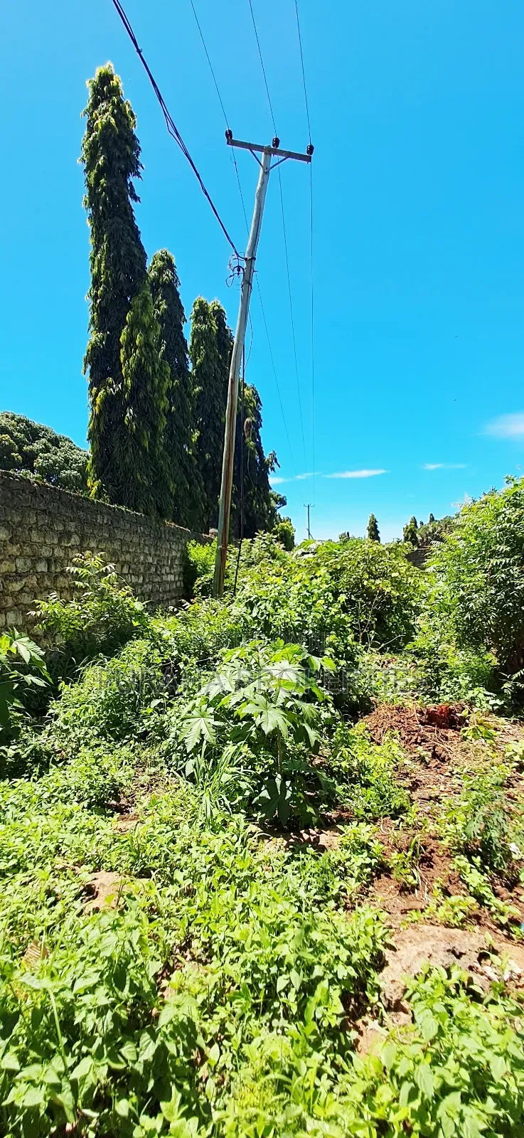 For Sale 3/4 Acre Commercial Land Diani in Diani