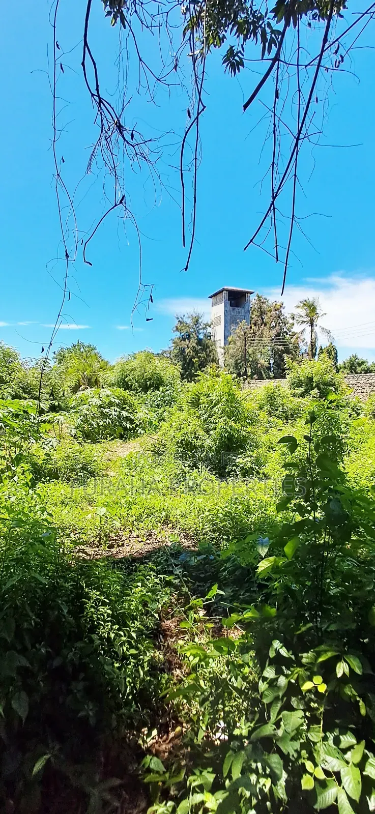 For Sale 3/4 Acre Commercial Land Diani in Diani