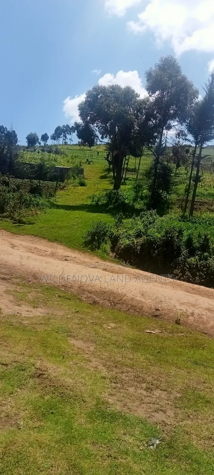 Land on Sale at Flyover Kinangop in Magumu