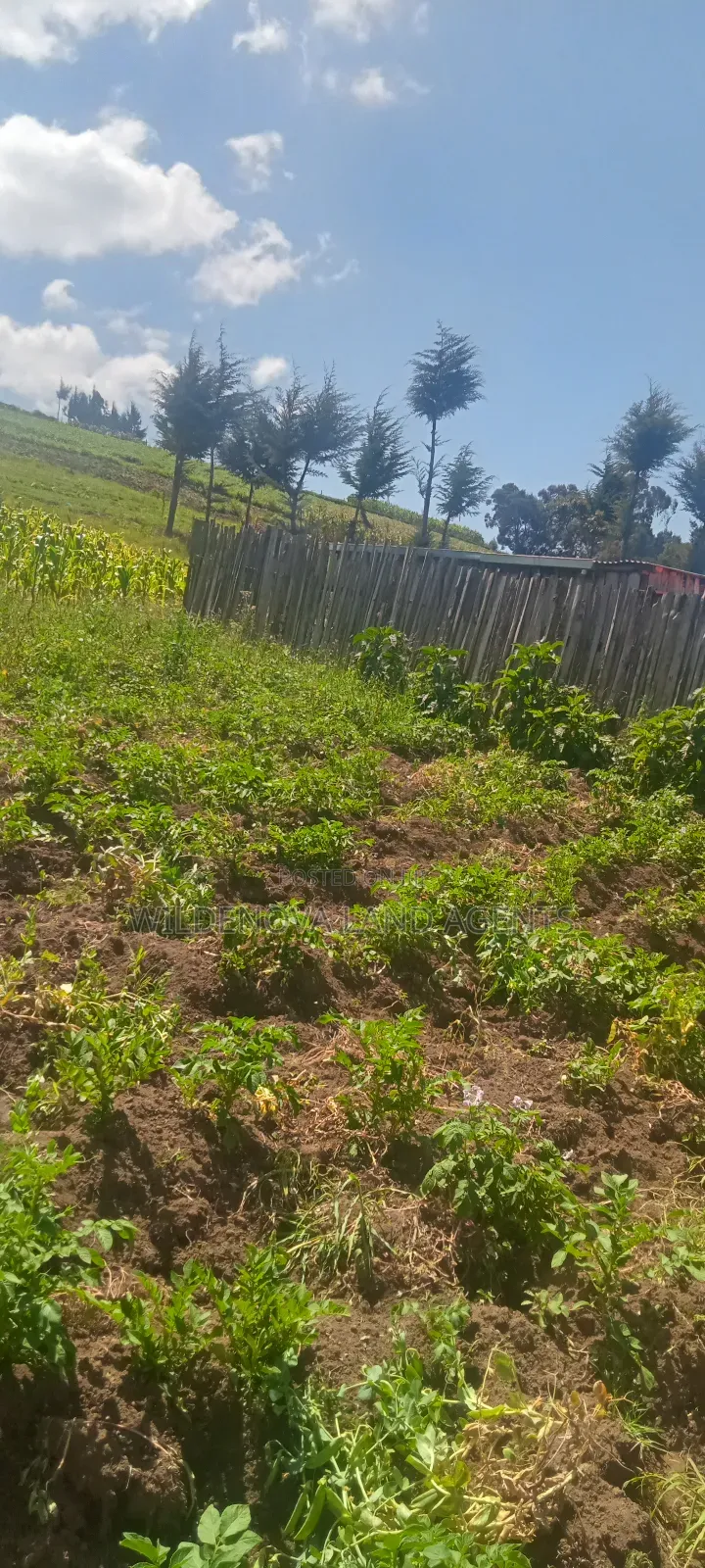 Land on Sale at Flyover Kinangop in Magumu