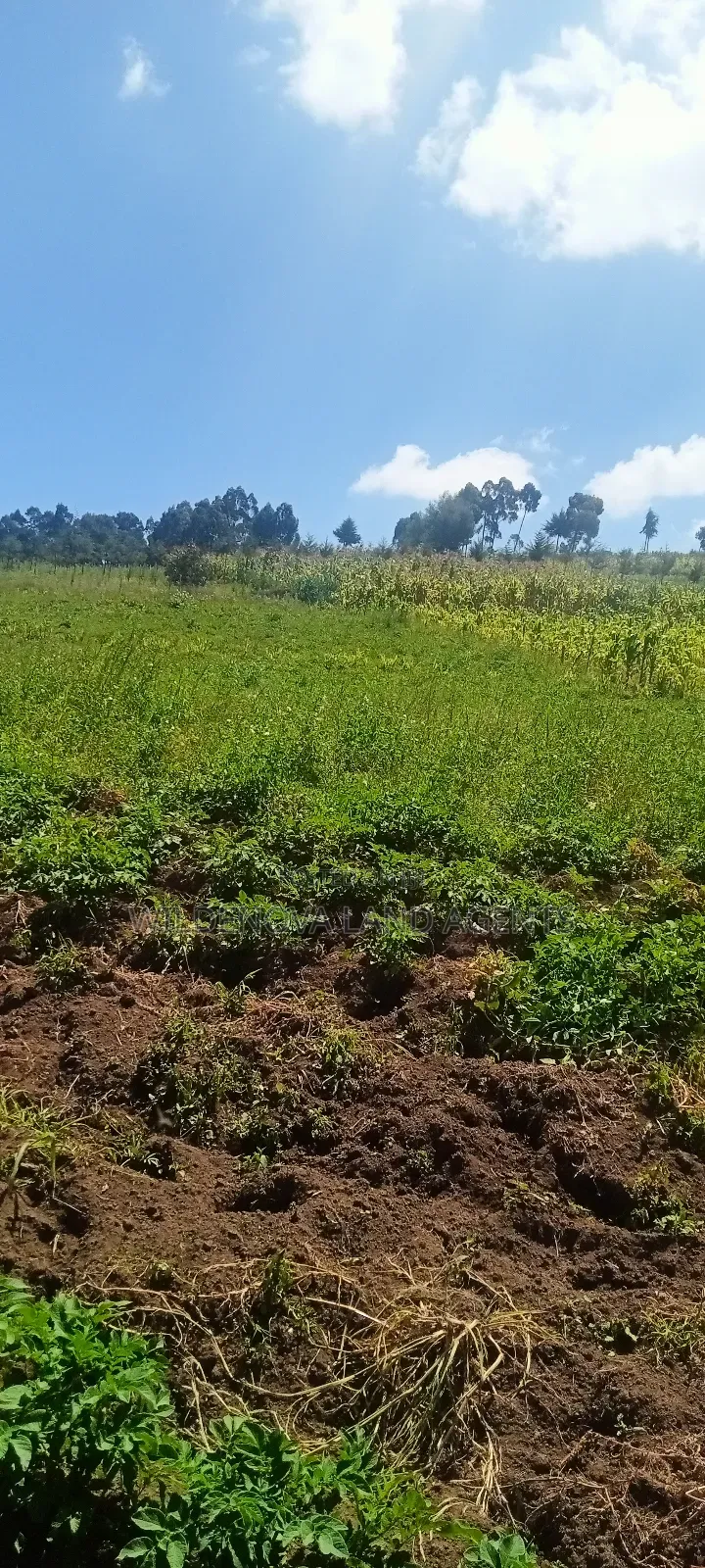 Land on Sale at Flyover Kinangop in Magumu
