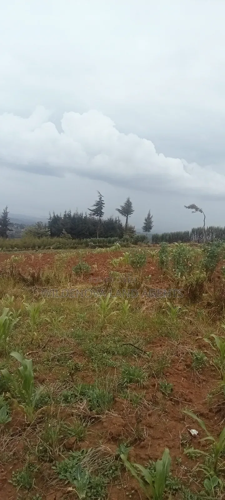 Land on Sale at Magumu Kinangop in Magumu