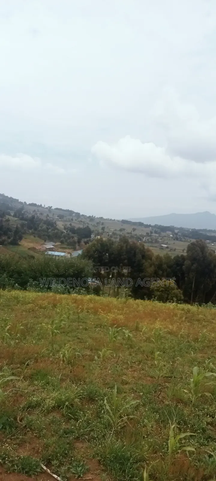 Land on Sale at Magumu Kinangop in Magumu