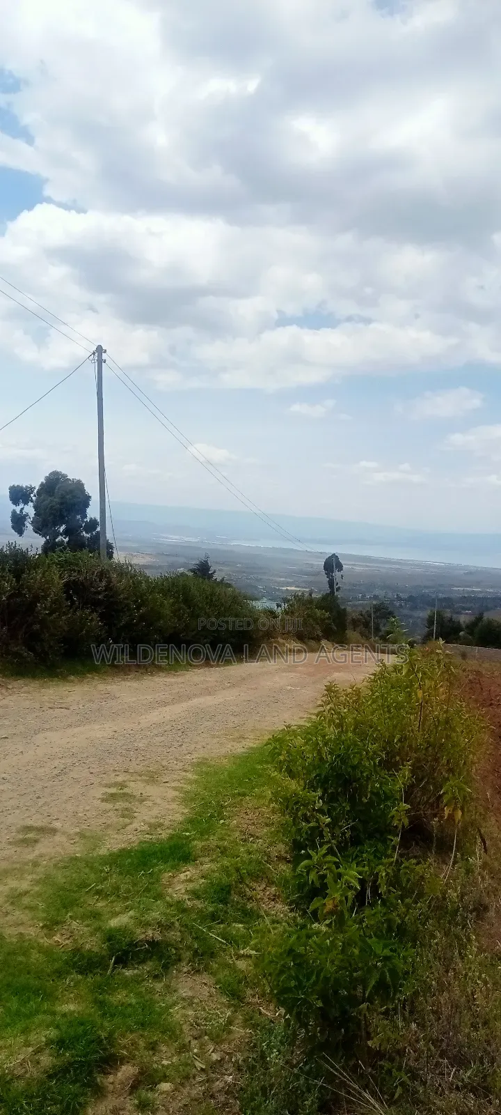 Land on Sale at Kahuho Naivasha Near Flyover in Naivasha East