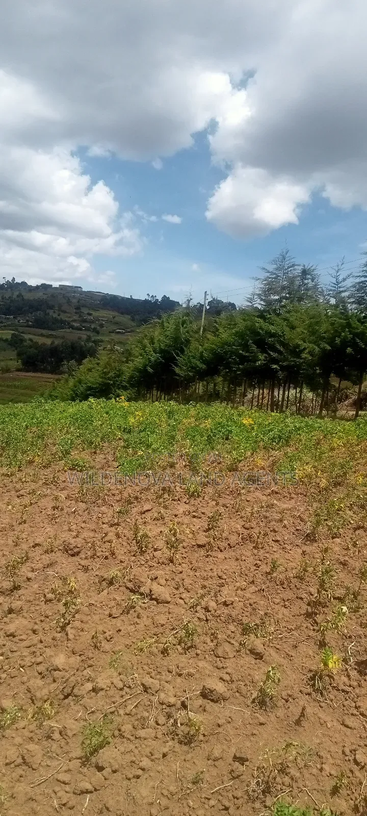 Land on Sale at Kahuho Naivasha Near Flyover in Naivasha East