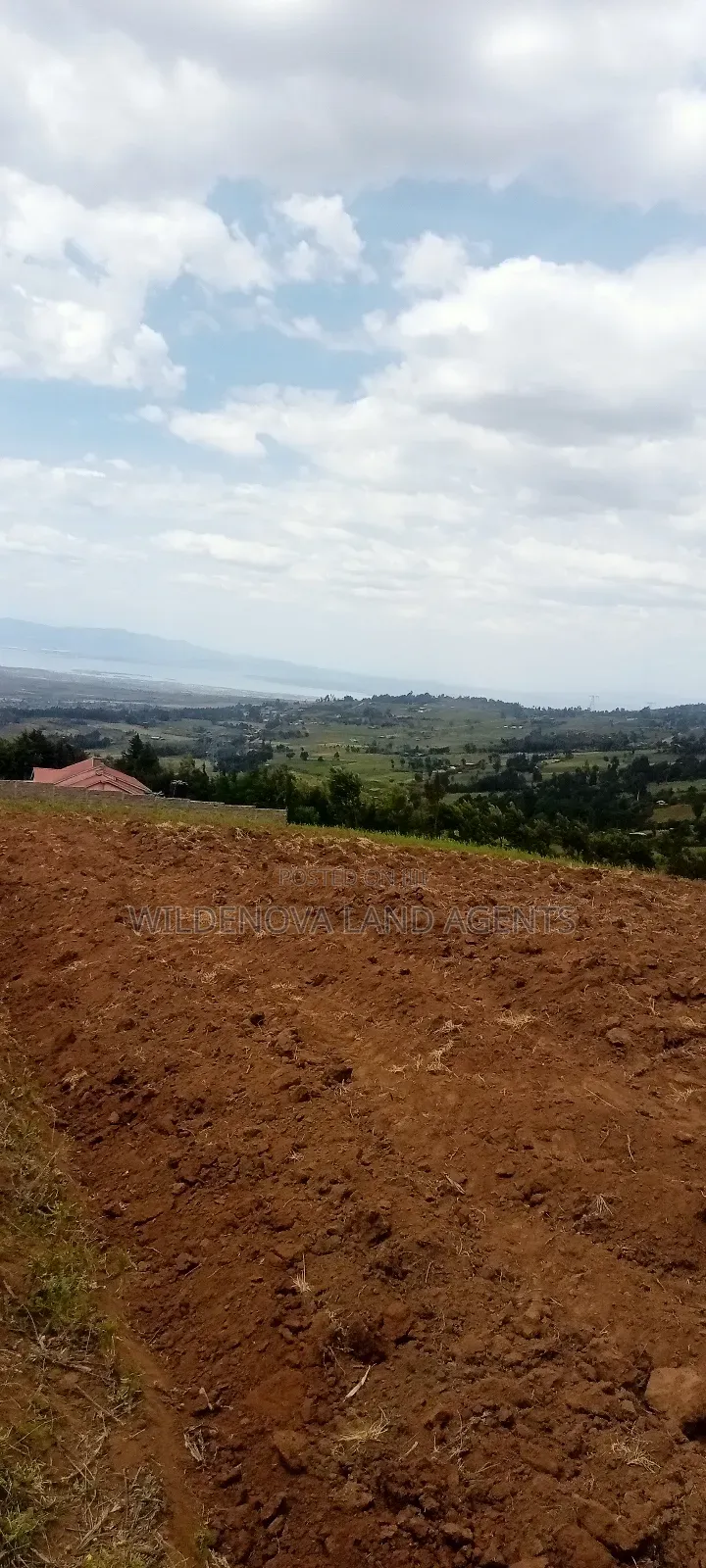Land on Sale at Kahuho Naivasha Near Flyover in Naivasha East