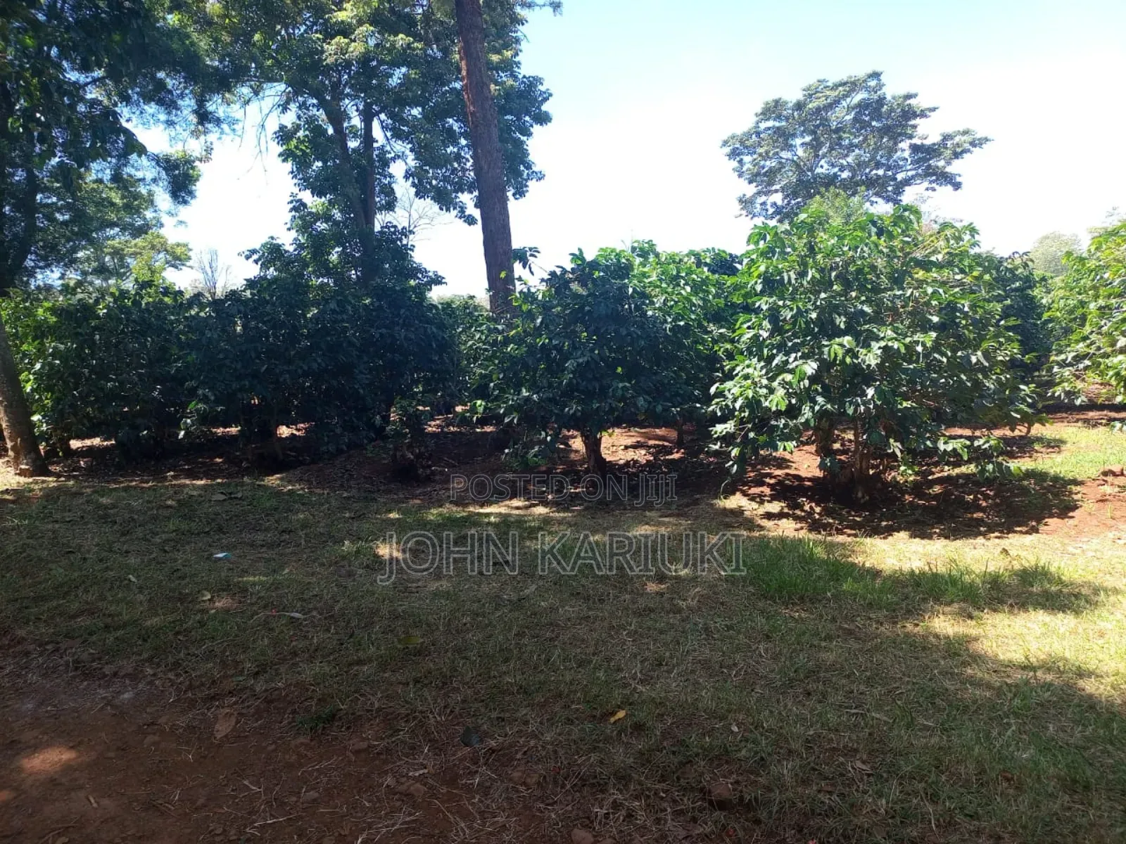 37 Acres Of Commercial Land In Thika Touching Superhighway. in Thika CBD
