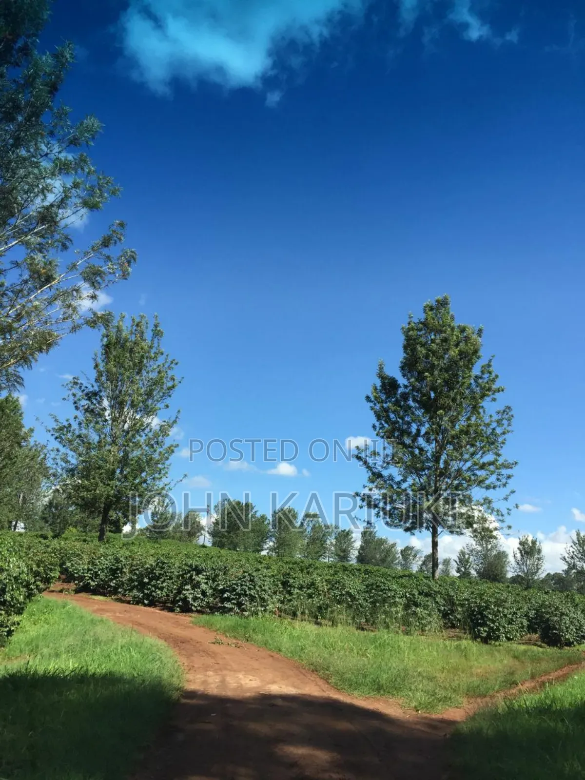 37 Acres Of Commercial Land In Thika Touching Superhighway. in Thika CBD