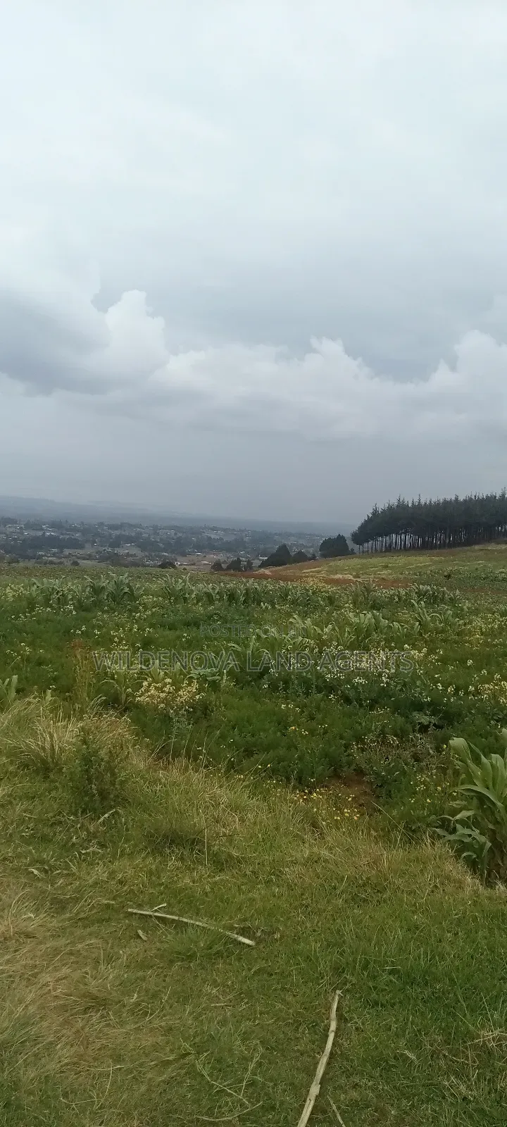 Land On Sale At Kinangop Magumu in Magumu