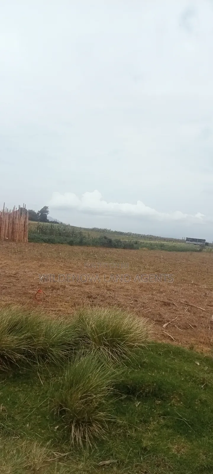 Land On Sale At Kinangop Magumu in Magumu