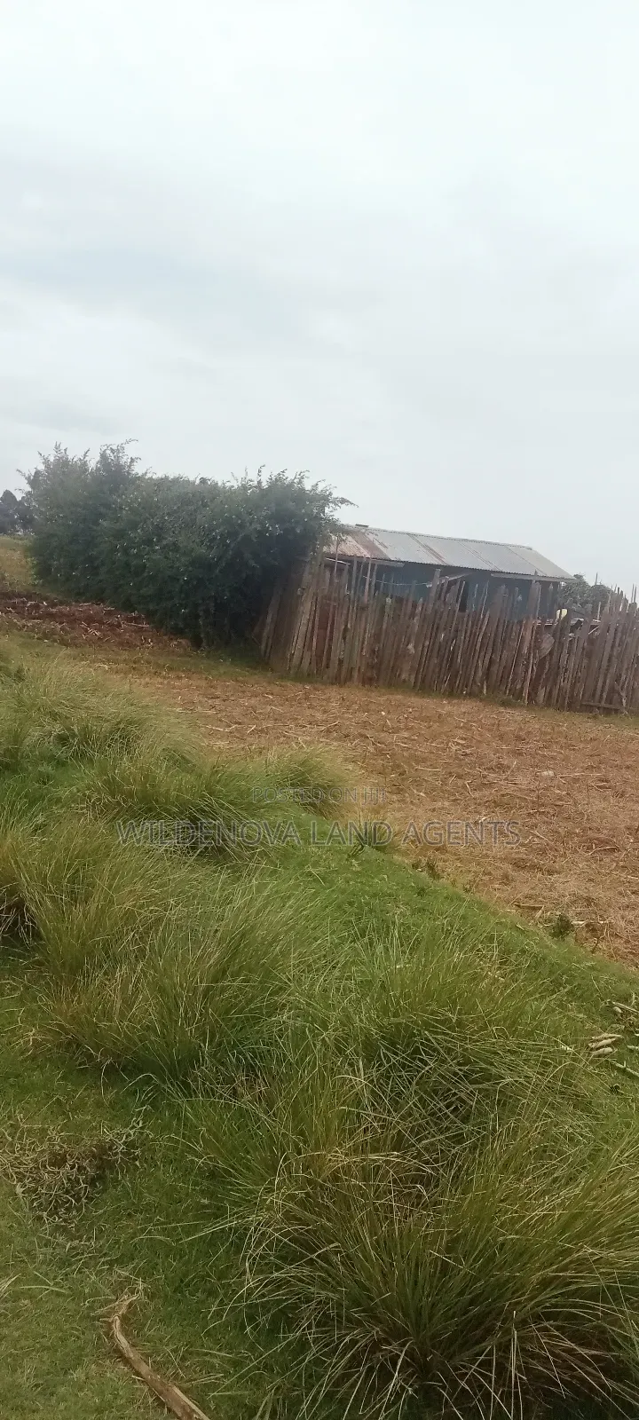 Land On Sale At Kinangop Magumu in Magumu