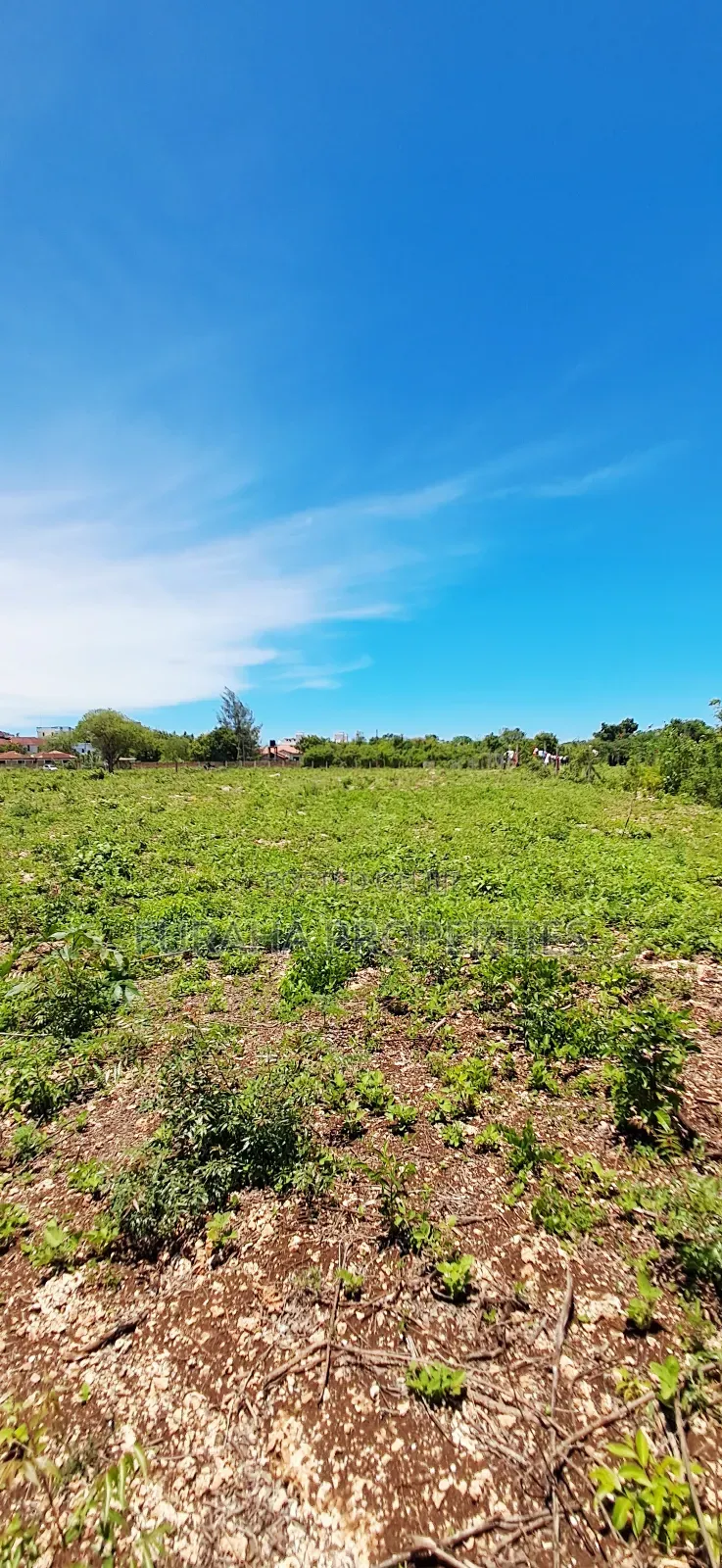 For Sale Quater Acres Plots Diani in Diani