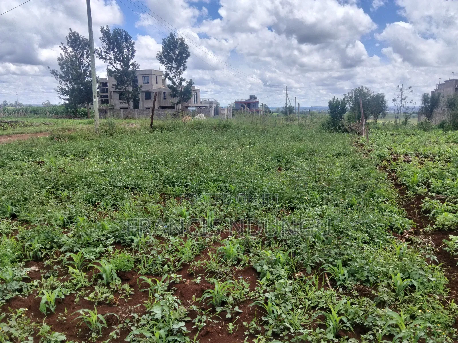 Affordable Plots 5 Km Off Kiambu Road. in Kiambu / Kiambu 
