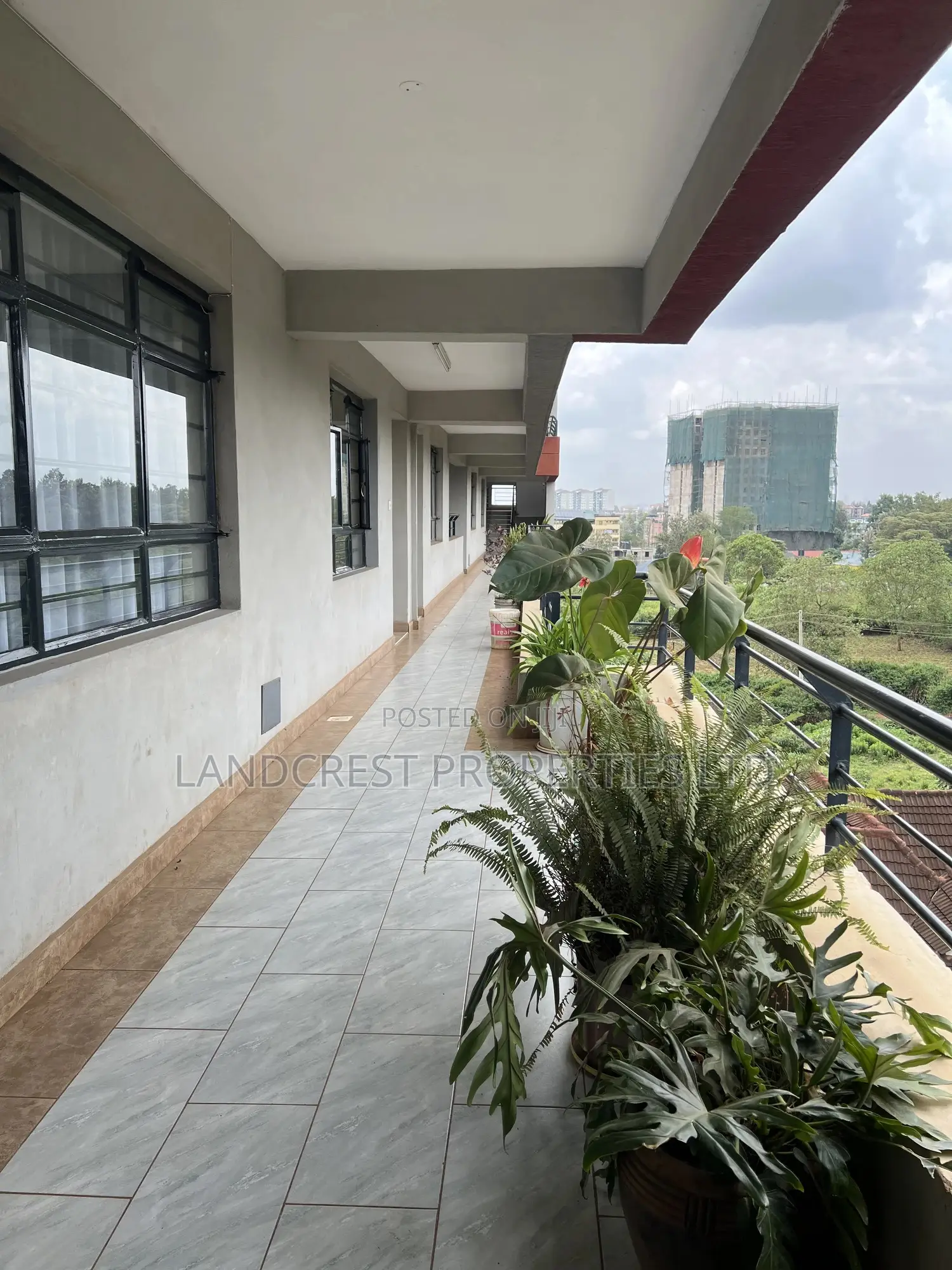 1bdrm Apartment in Usiu, Roysambu for rent in Roysambu
