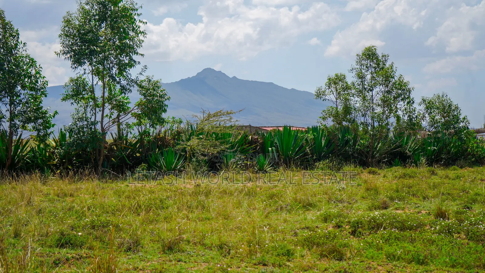 Selling for 650,000 Longonot View Phase 6. in Mirera