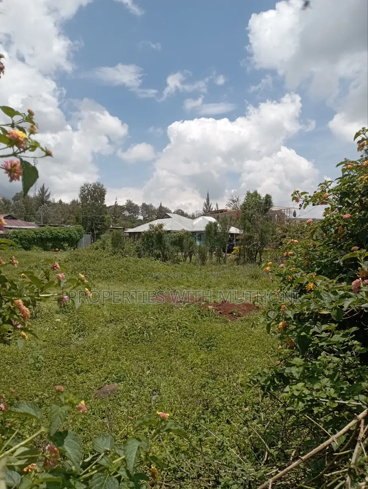 50×100 Plot for Sale in Olkeri, Ngong. in Ol Keri