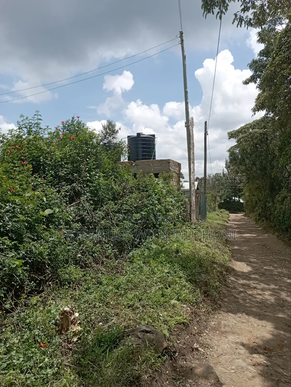 50×100 Plot for Sale in Olkeri, Ngong. in Ol Keri