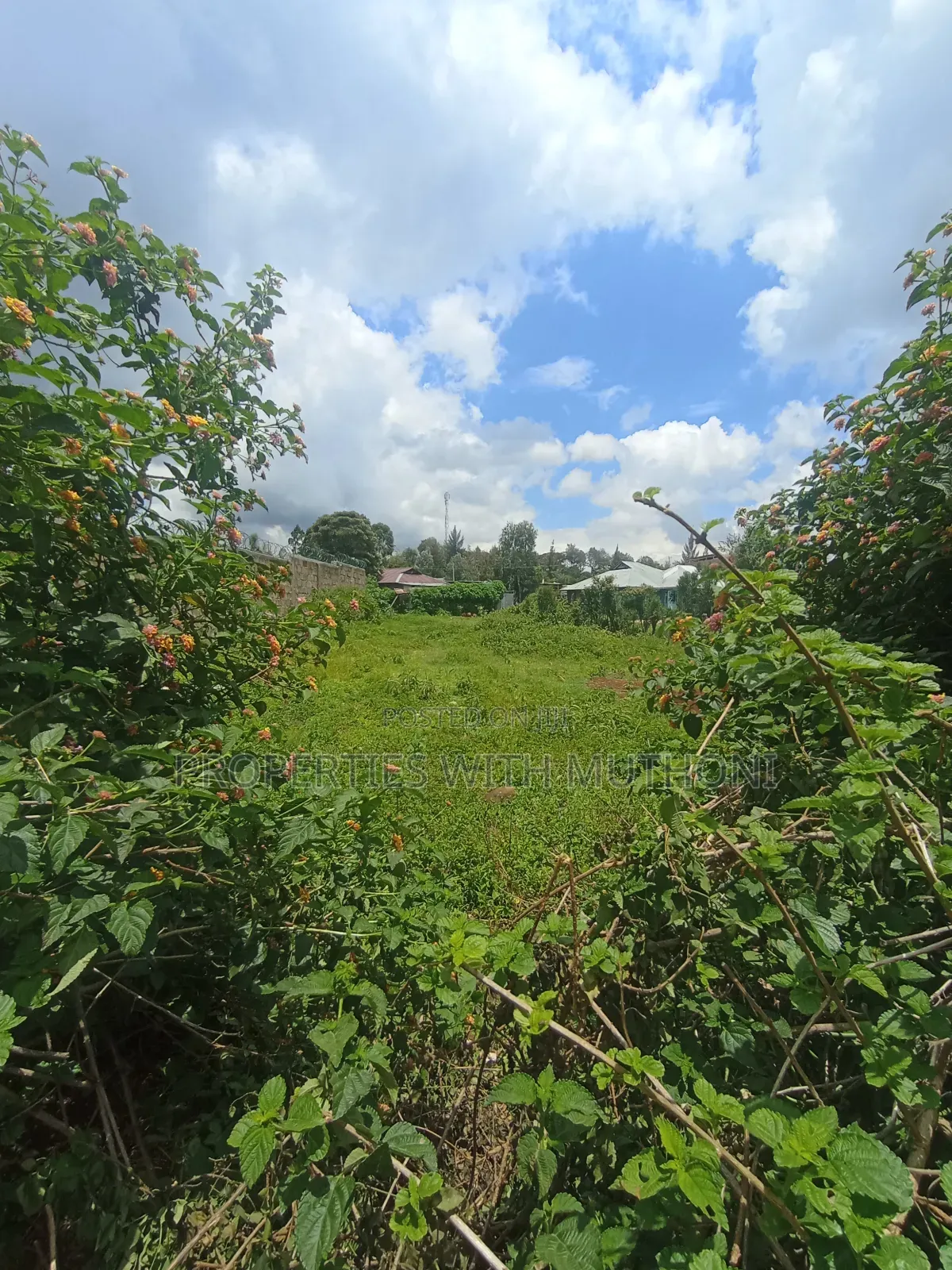 50×100 Plot for Sale in Olkeri, Ngong. in Ol Keri