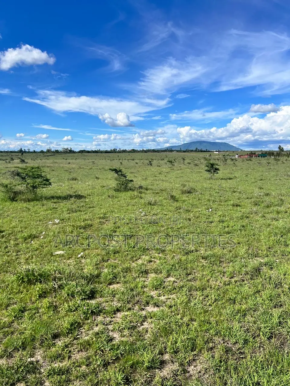 50 by 100 Residential Plots for Sale in Malaa- Flexible Payment Plan in Malaa