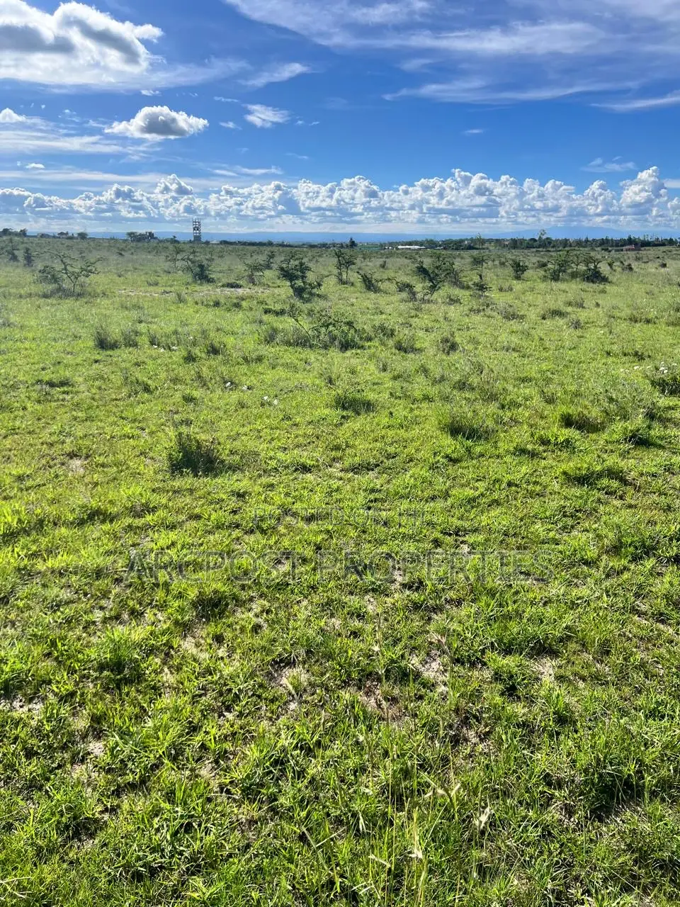 50 by 100 Residential Plots for Sale in Malaa- Flexible Payment Plan in Malaa