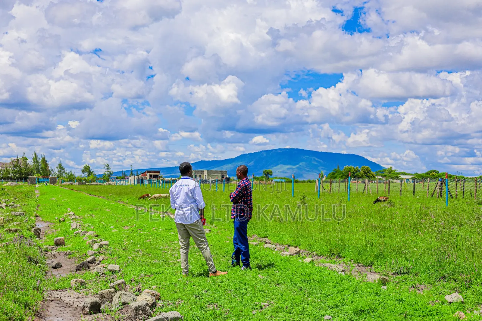 Affordable 50 by 100 Plots in Malaa in Matungulu East