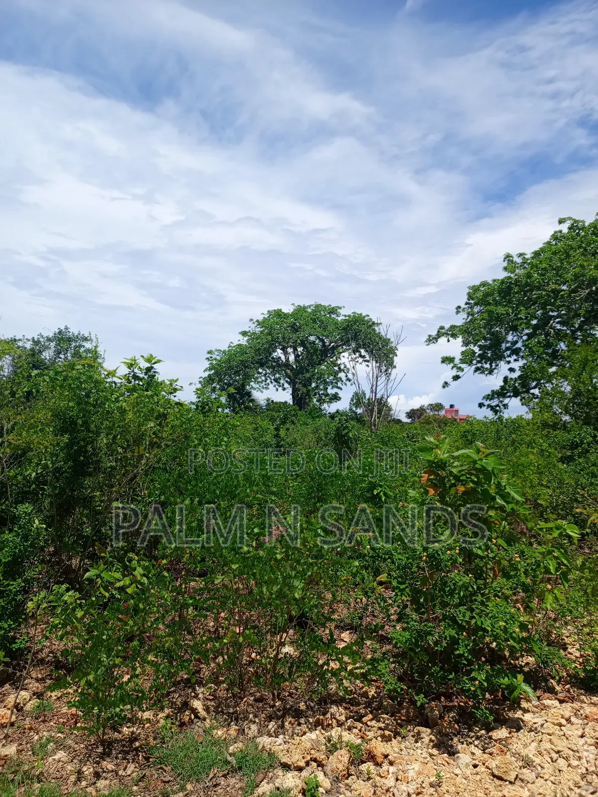 One Acre in Galu Beach Diani on Sale in Diani
