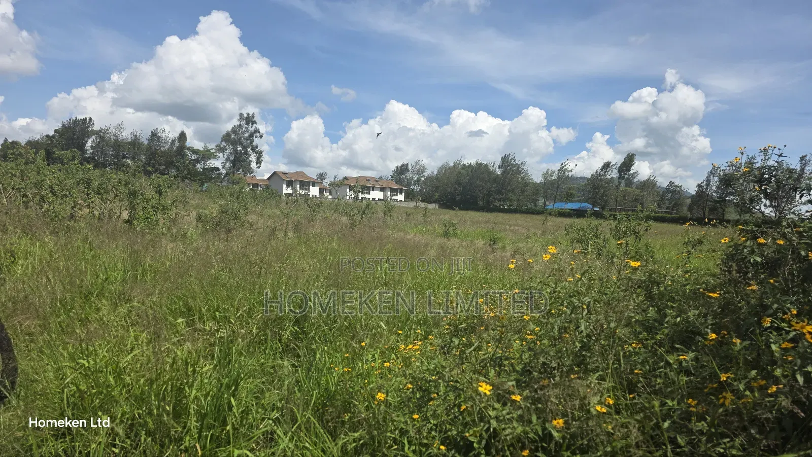 Three Acres Land for Sale for Sale in Ngong in Ngong