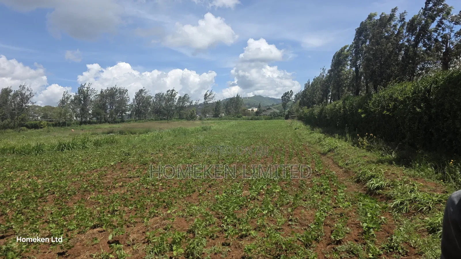 Three Acres Land for Sale for Sale in Ngong in Ngong