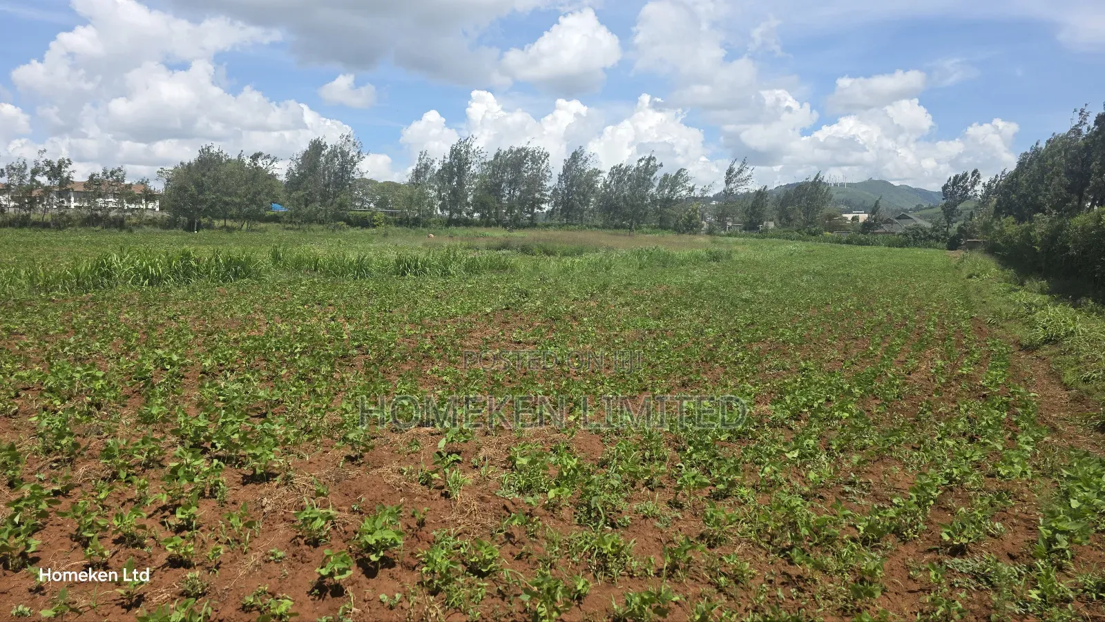 Three Acres Land for Sale for Sale in Ngong in Ngong
