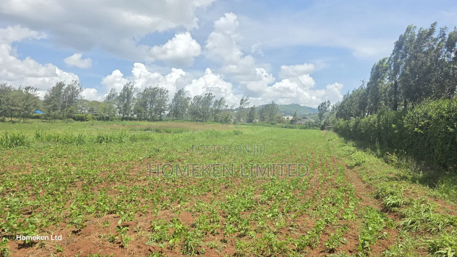 Three Acres Land for Sale for Sale in Ngong in Ngong
