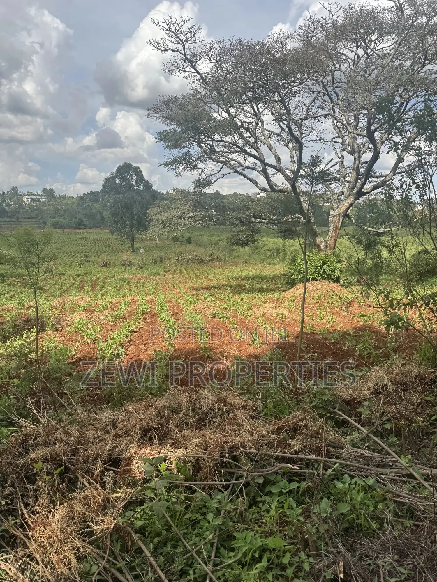 Eighth Acre Kerarapon in Kerarapon