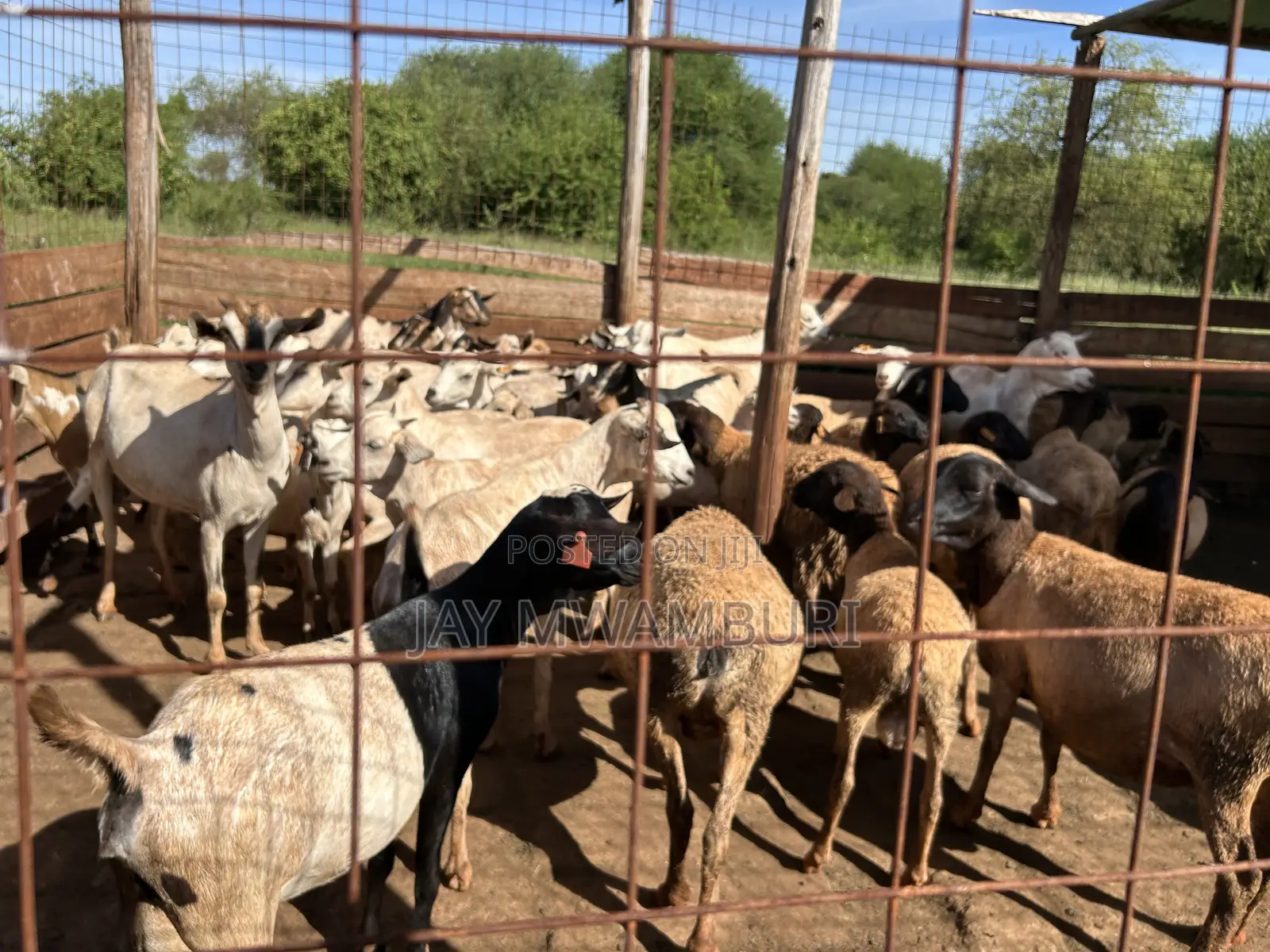 Fenced 10 Acre Land Emali in Emali/Mulala