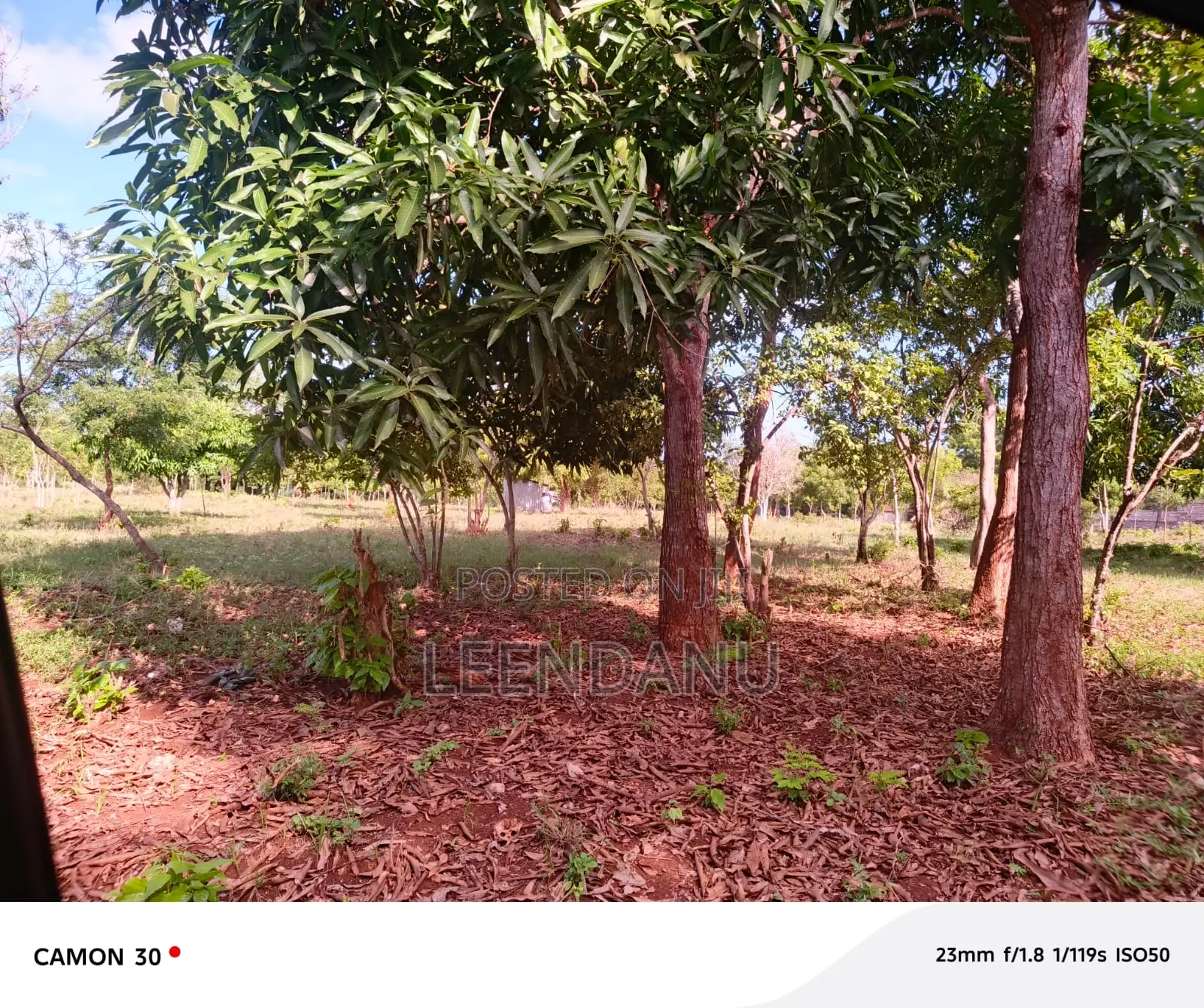 Resident Land for Sale in Diani