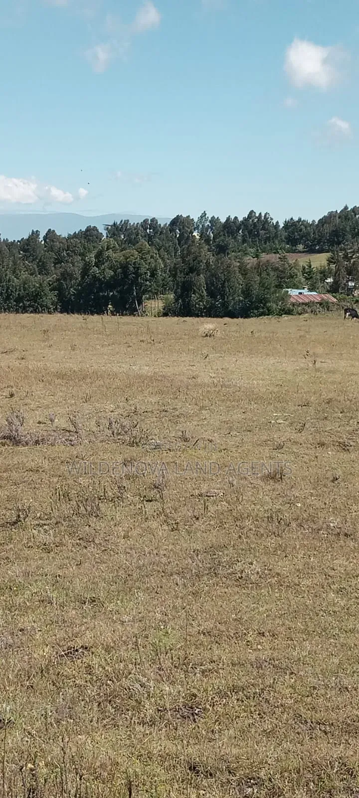 Land on Sale at Heni Kinangop in Magumu