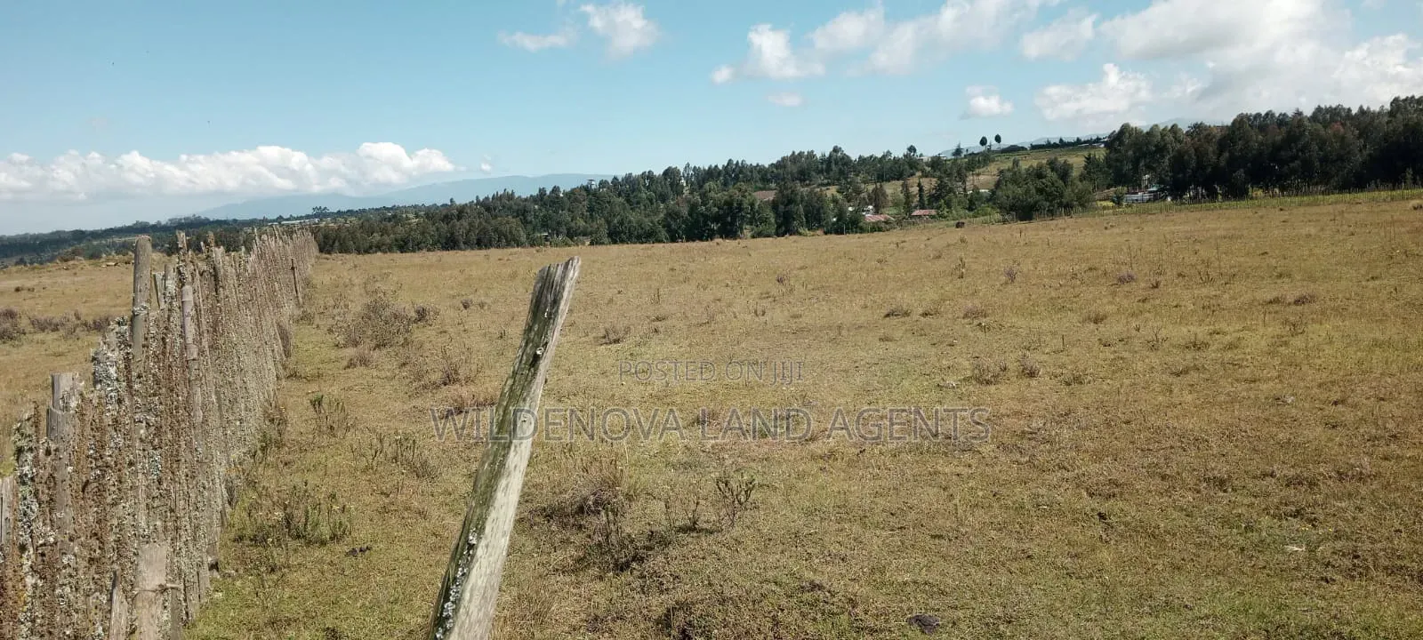 Land on Sale at Heni Kinangop in Magumu
