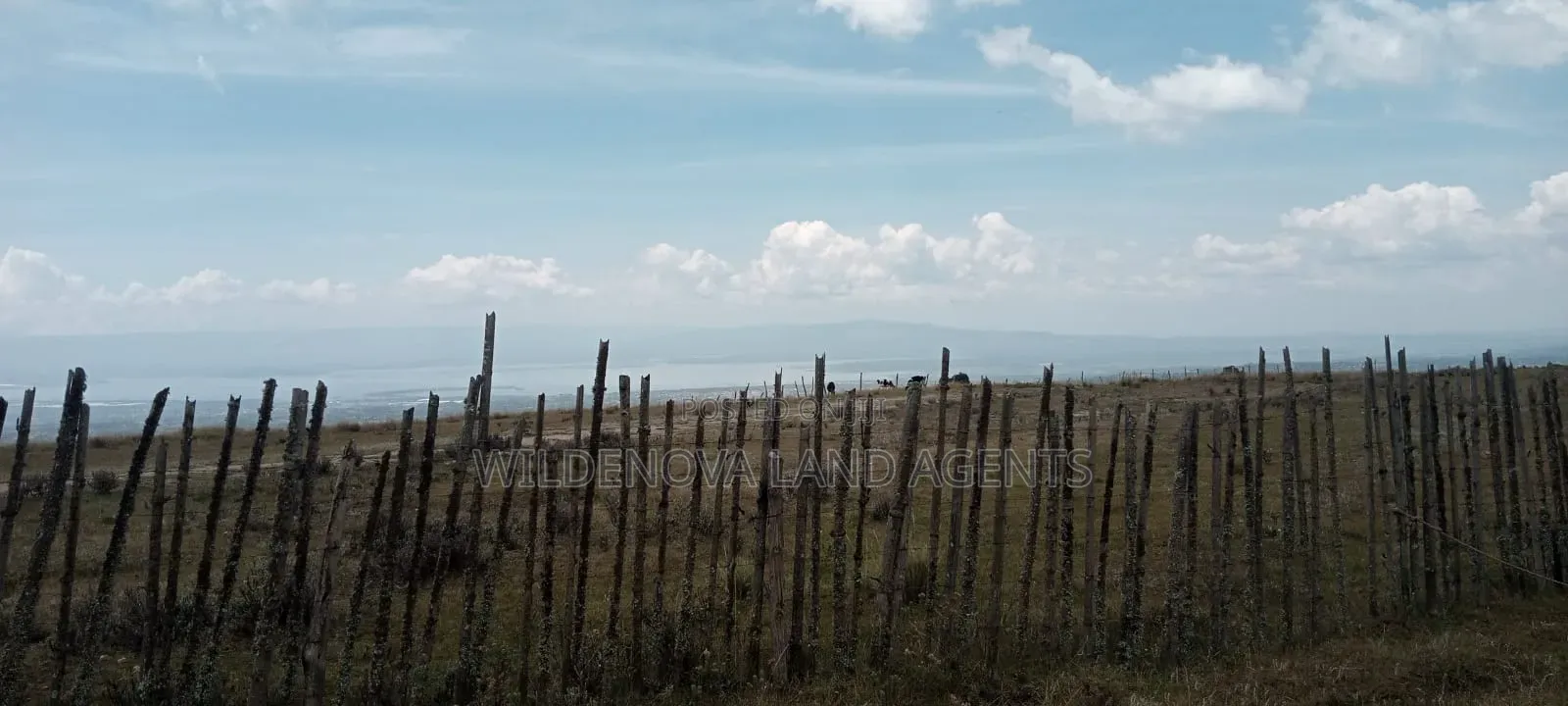 Land on Sale at Heni Kinangop in Magumu