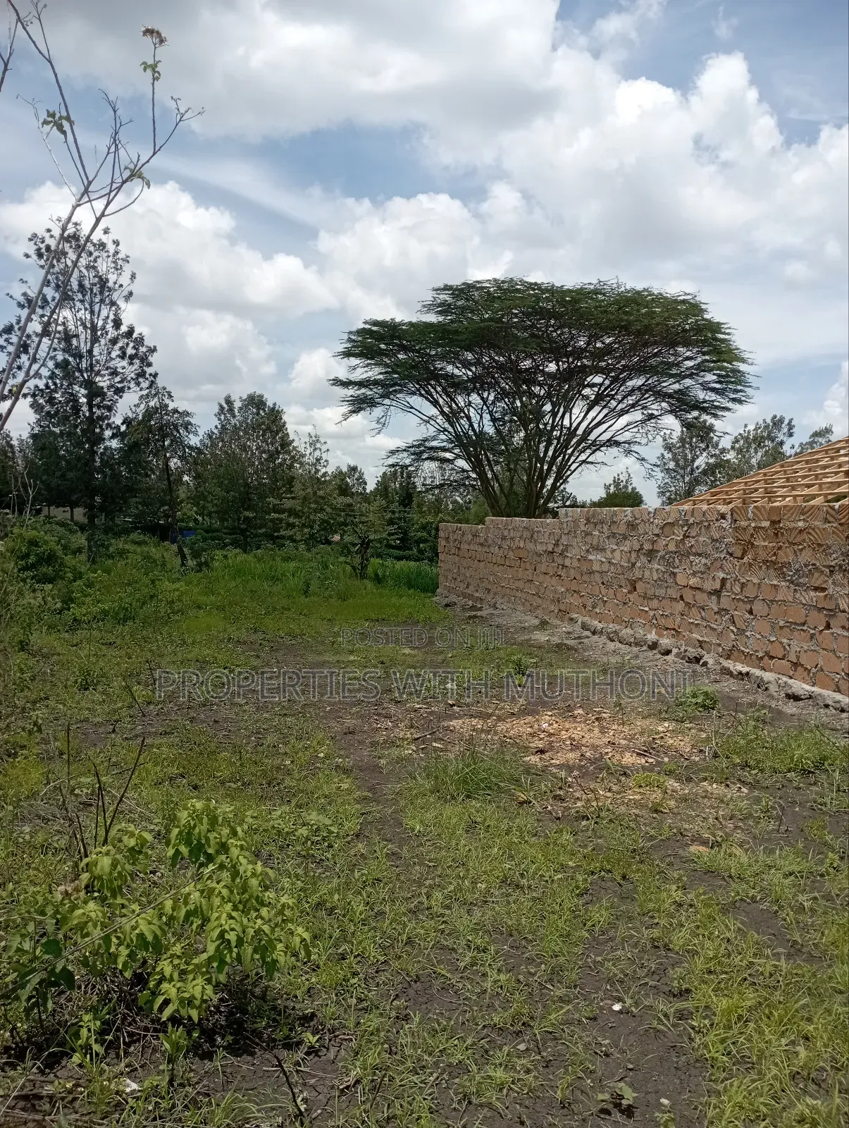 1⁄4 Acre Plot for Sale in Merisho, Ngong in Merisho